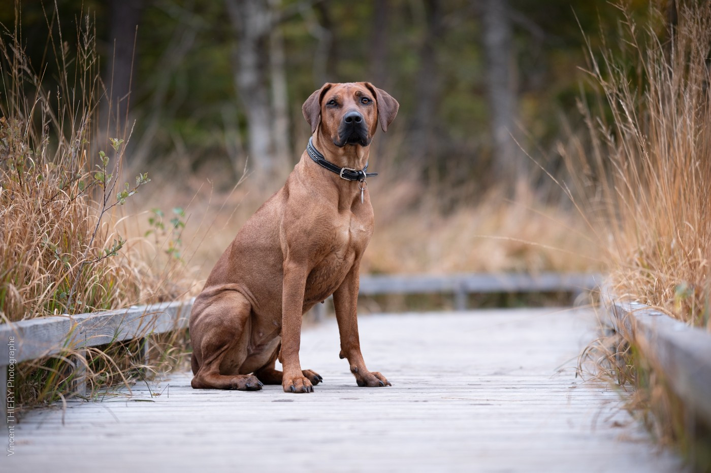 Taona Uhambe Nami (Sans Affixe)