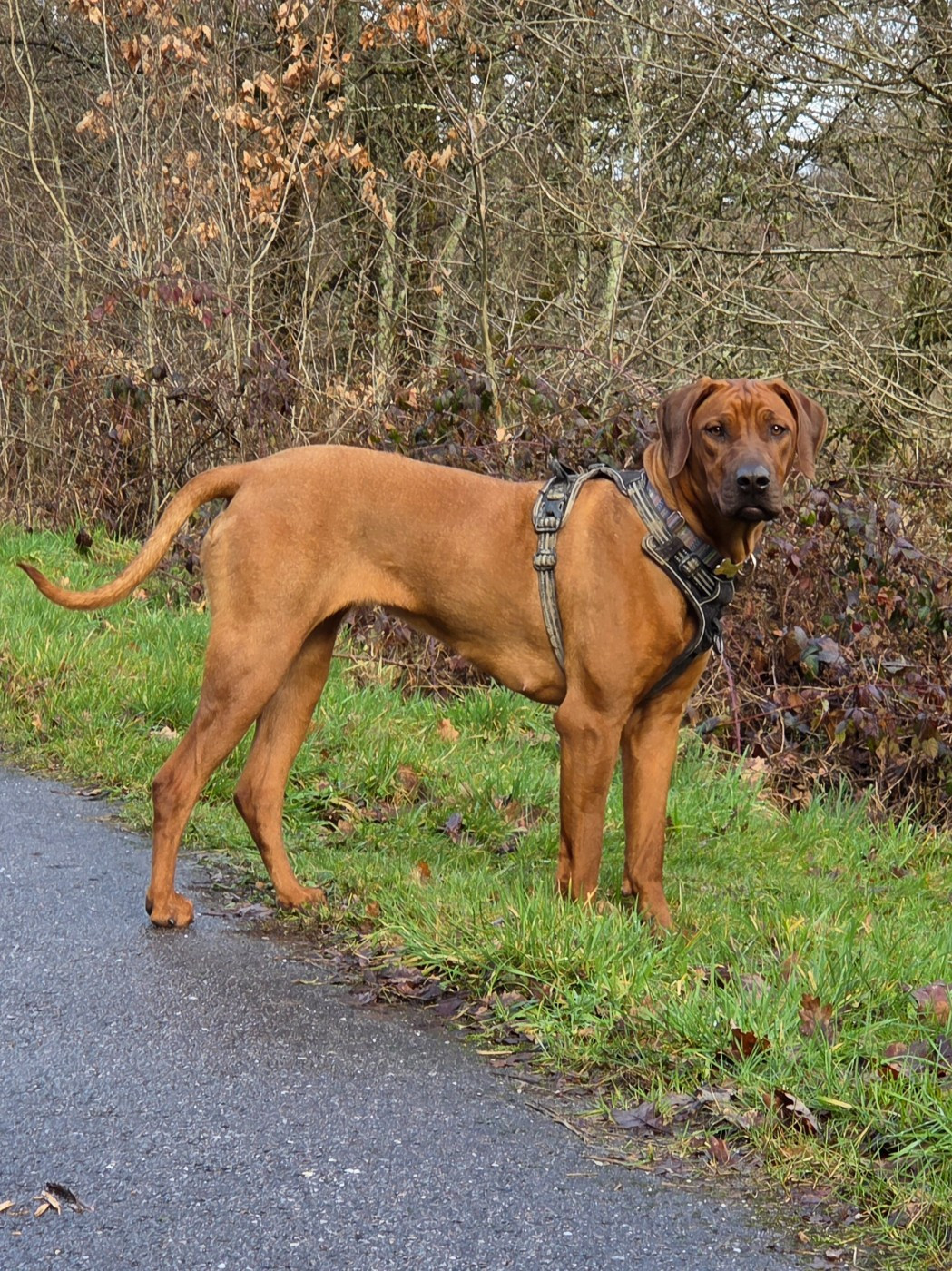 Appy du Domaine de l'Aître